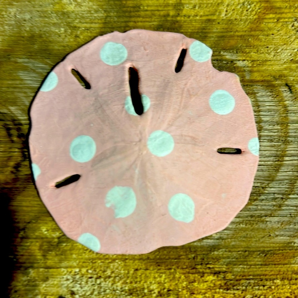 Painted sand dollars